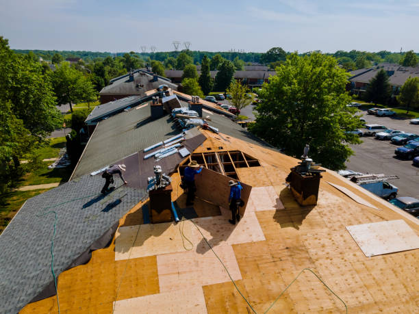24/7 Emergency Roof Inspection experts in Voltaire, ND
